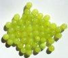 25 8mm Translucent Dyed & Coated Pea Green Round Beads